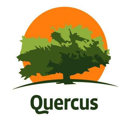 Quercus - logo